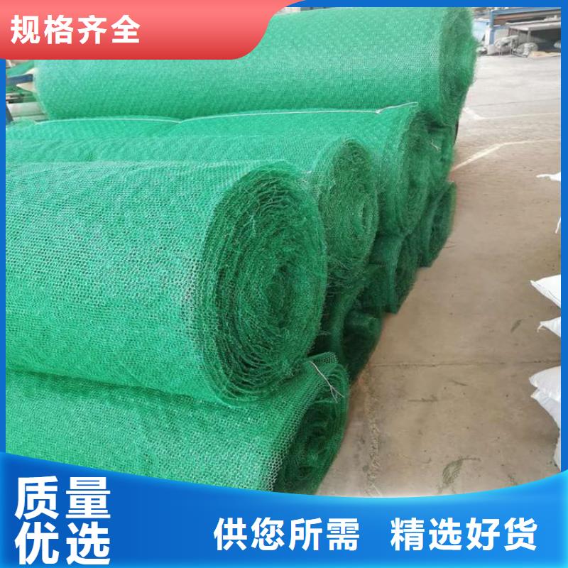 三维植被网HDPE土工膜设计制造销售服务一体