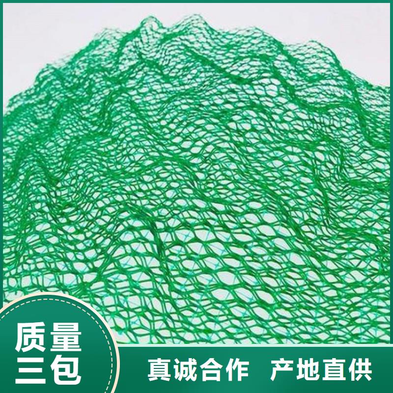三维植被网双向塑料土工格栅价格公道合理