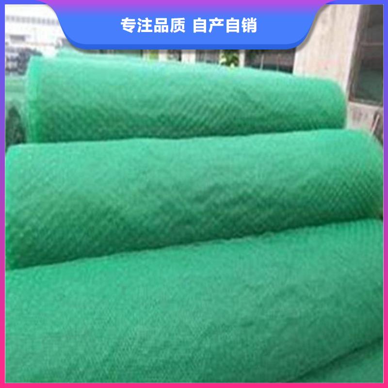 三维植被网【抗裂贴】工厂采购