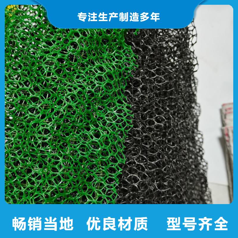 三维植被网土工布现货快速采购
