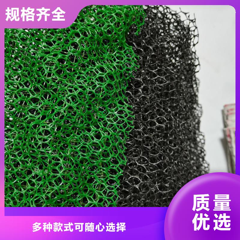 三维植被网玻璃纤维土工格栅行业优选
