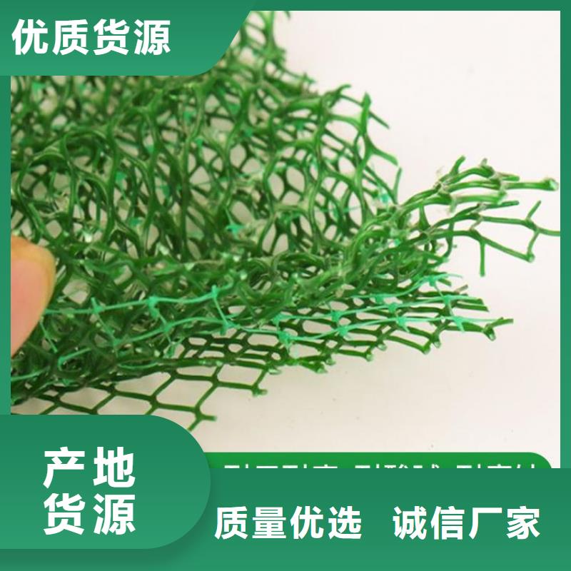 三维植被网【抗裂贴】工厂采购