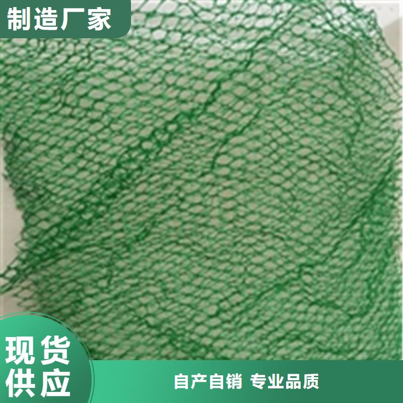 三维植被网土工格室真材实料加工定制