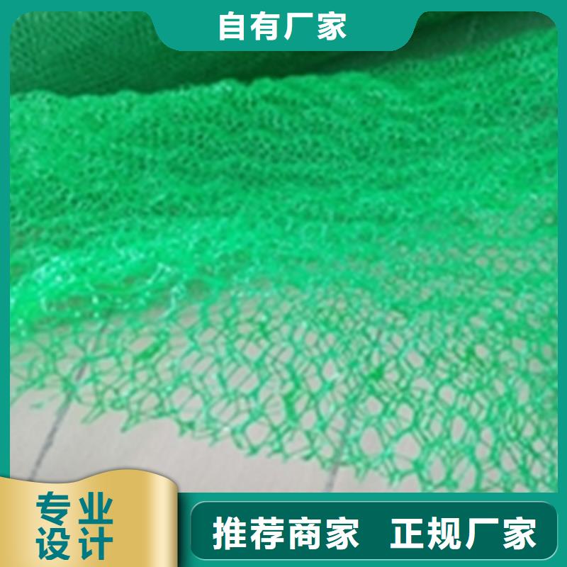 三维植被网玻璃纤维土工格栅行业优选