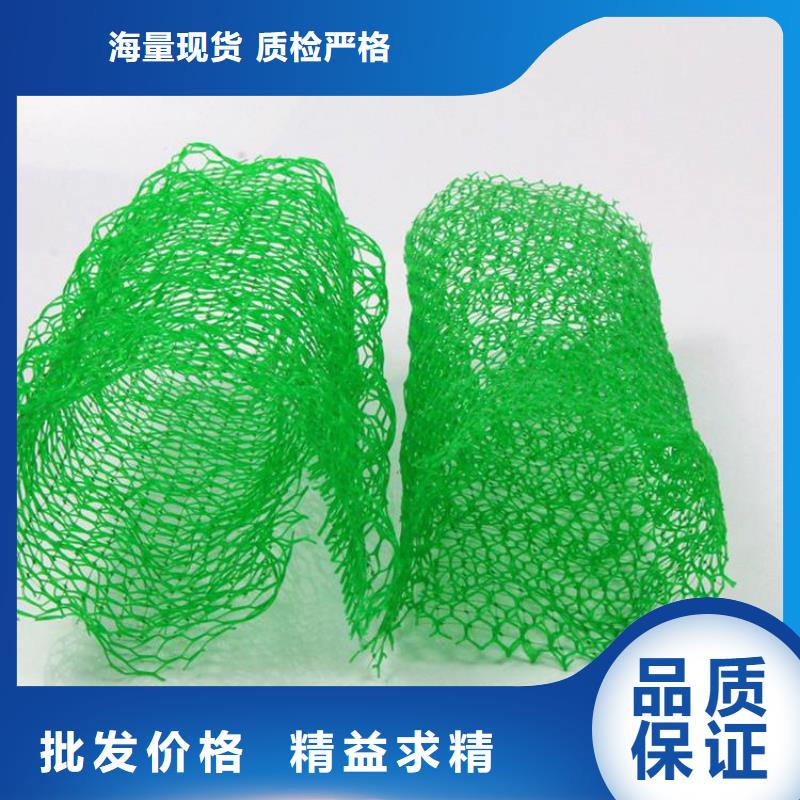 三维植被网土工膜物流配货上门