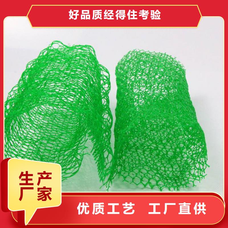 三维植被网【玻纤土工格栅】符合行业标准