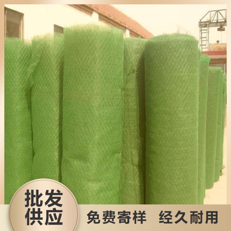 三维植被网双向塑料土工格栅订购