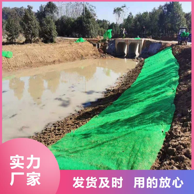 三维植被网双向塑料土工格栅价格公道合理