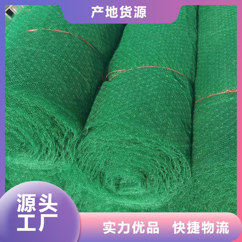 三维植被网防渗膜的简单介绍