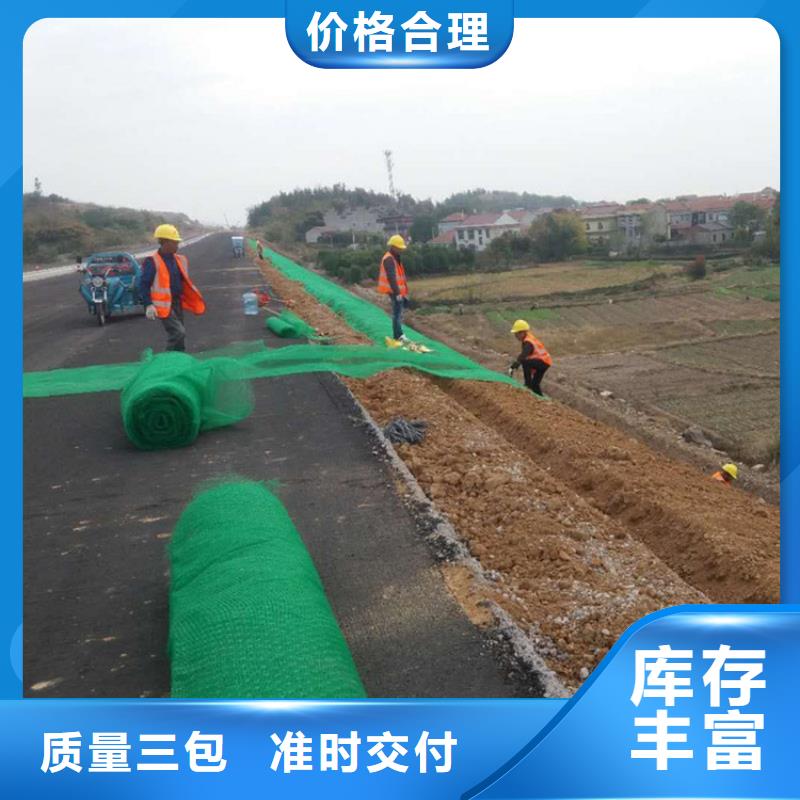 三维植被网土工格室真材实料加工定制