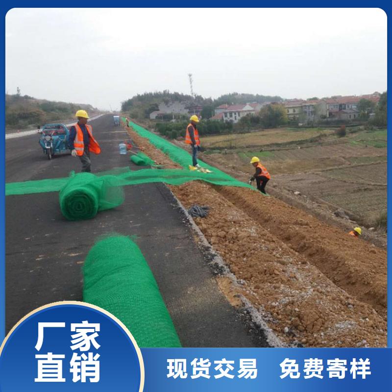 三维植被网,塑料盲沟满足客户所需
