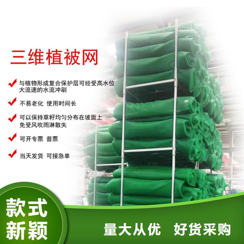 三维植被网_双向土工格栅实力商家