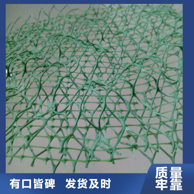 三维植被网双向塑料土工格栅订购