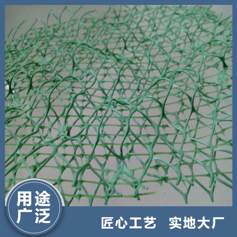 三维植被网,塑料盲沟满足客户所需