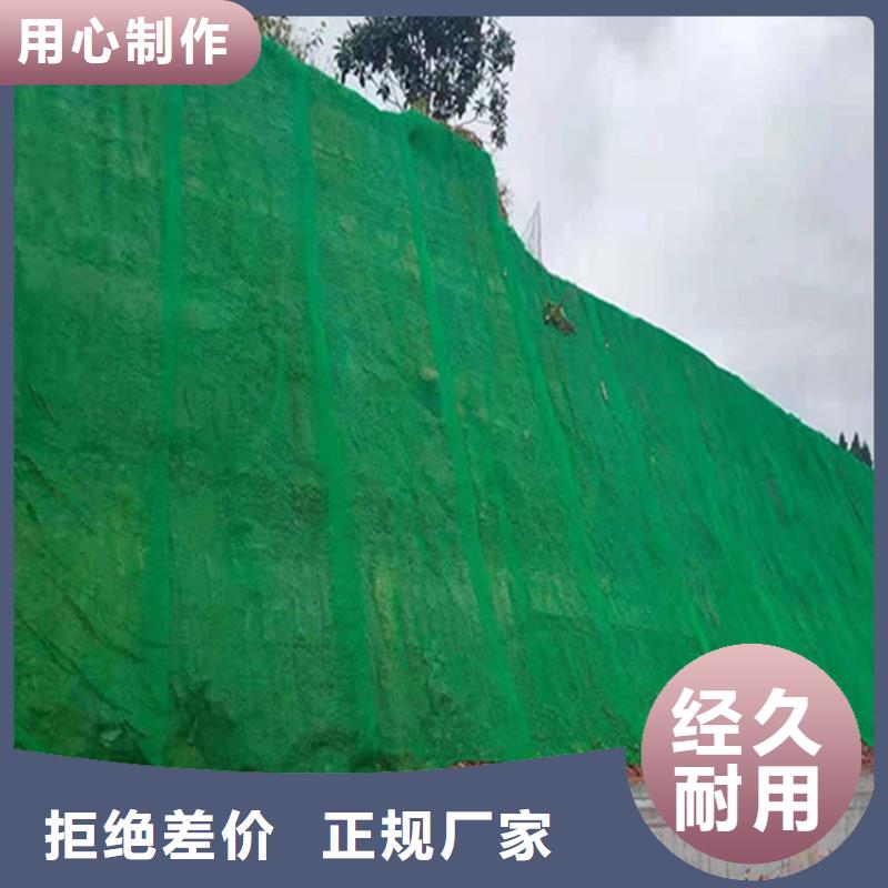 三维植被网螺旋管一站式采购方便省心