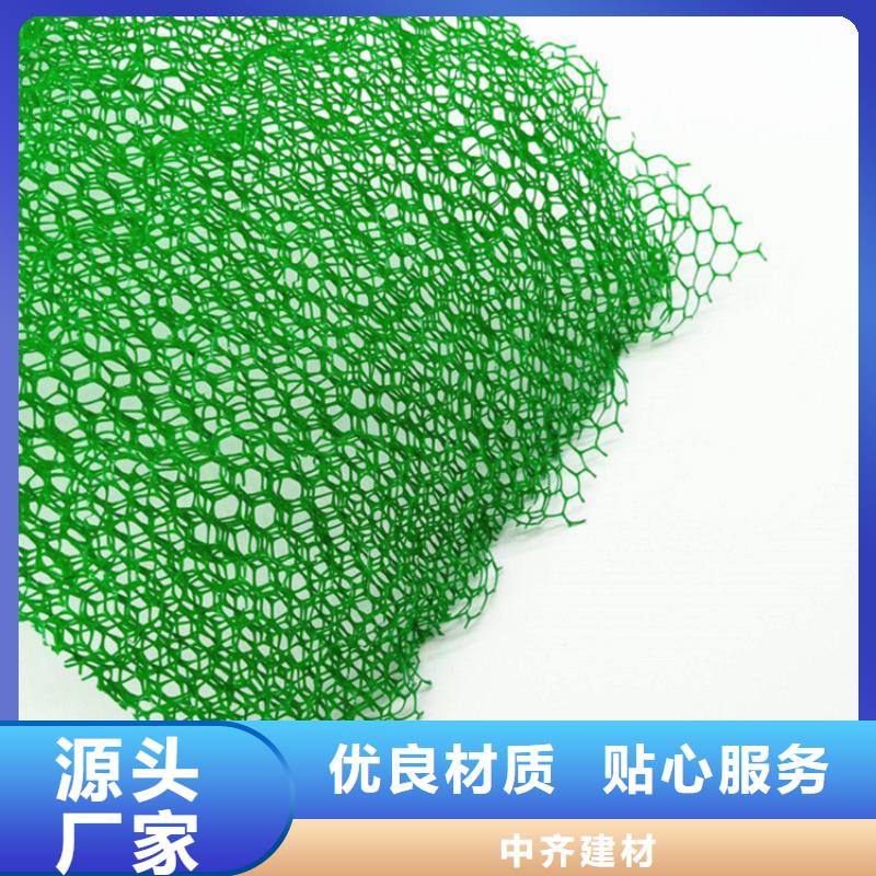 三维植被网玻璃纤维土工格栅行业优选
