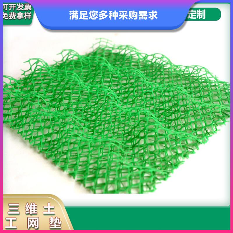 三维植被网土工格栅经久耐用