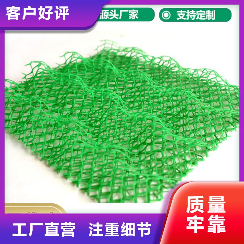 【三维植被网】软式透水管真诚合作