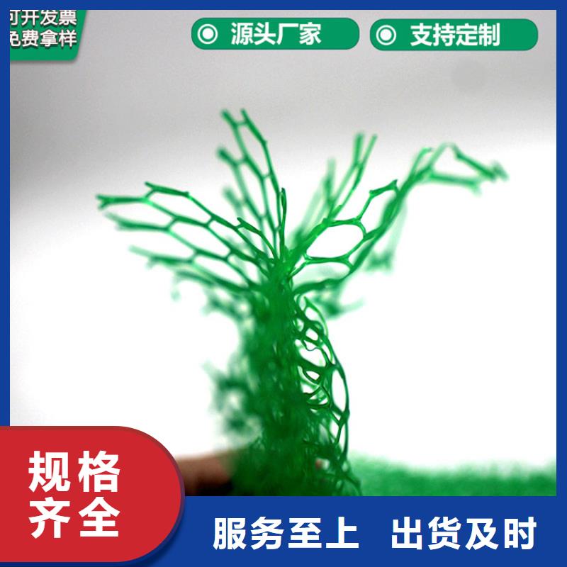 【三维植被网土工膜工厂直供】