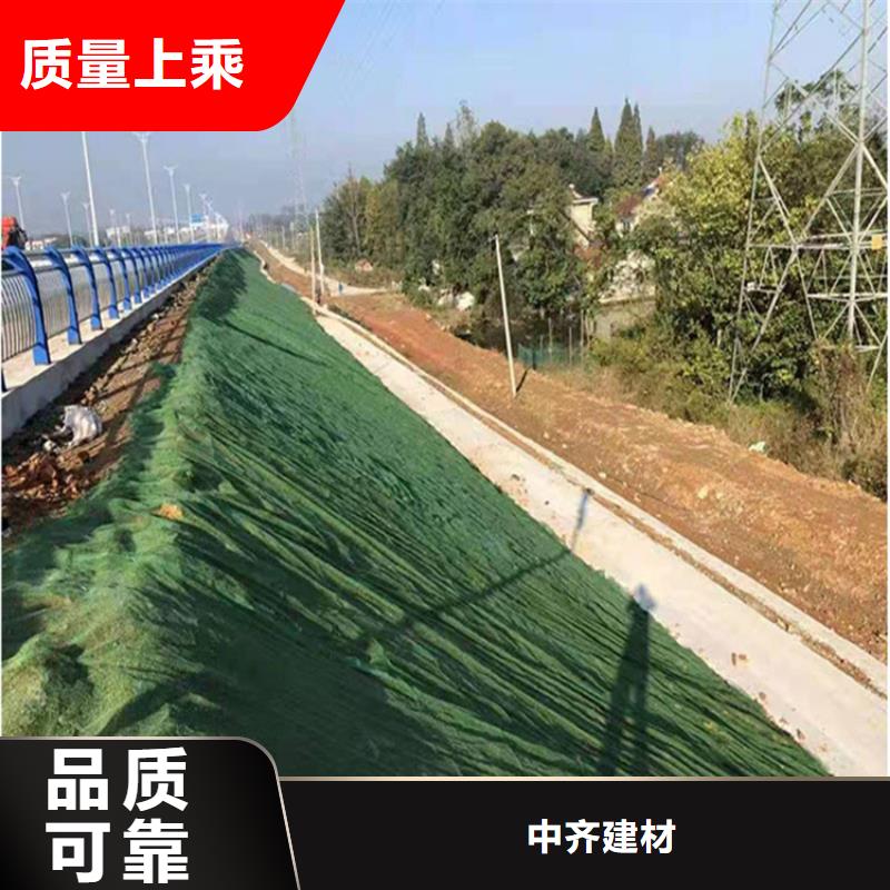 三维植被网双向塑料土工格栅价格公道合理