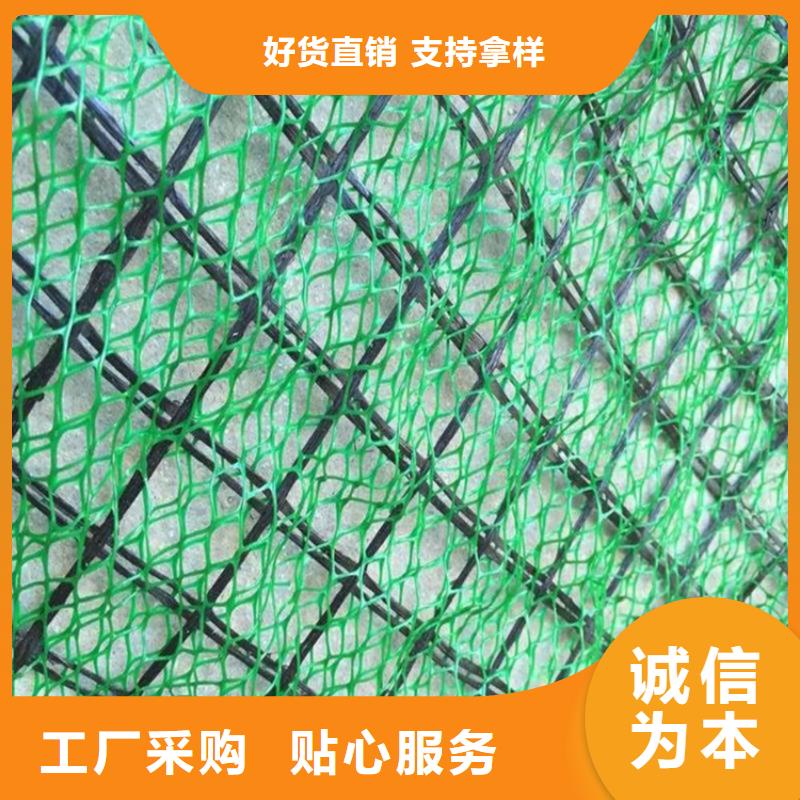 三维植被网防渗膜来图加工定制