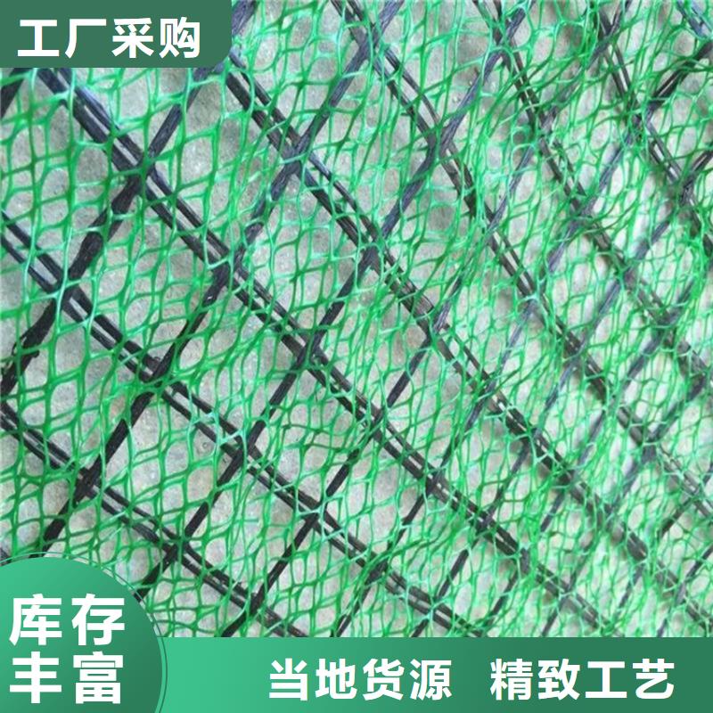 三维植被网双向土工格栅精选货源