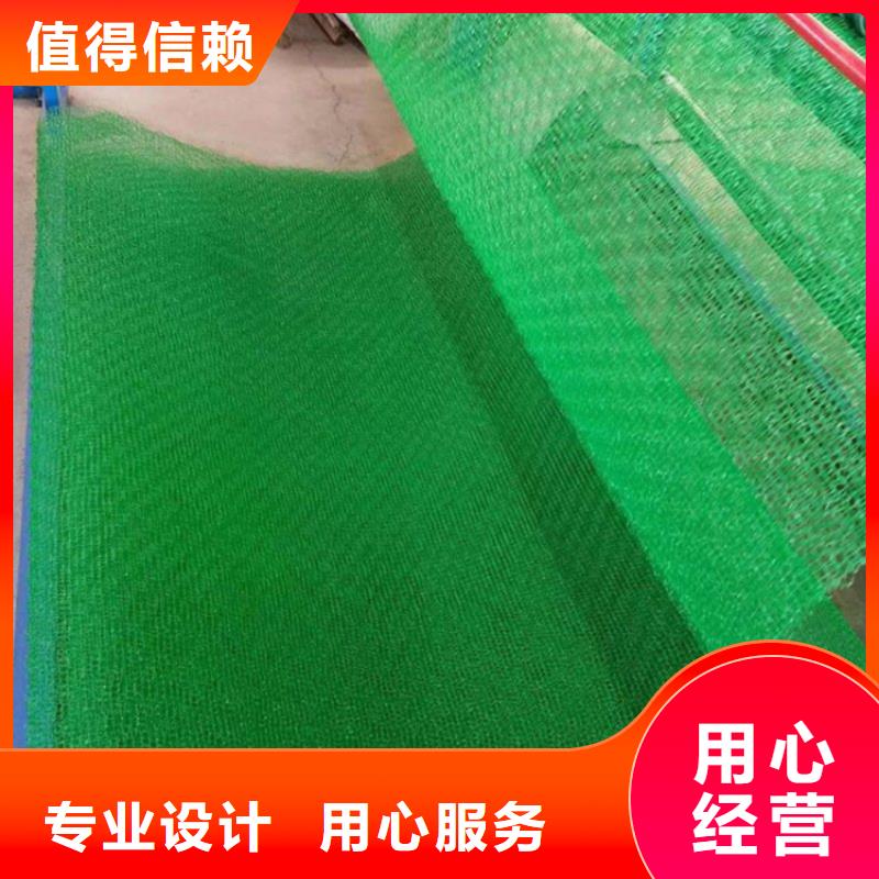 三维植被网,土工膜品牌大厂家