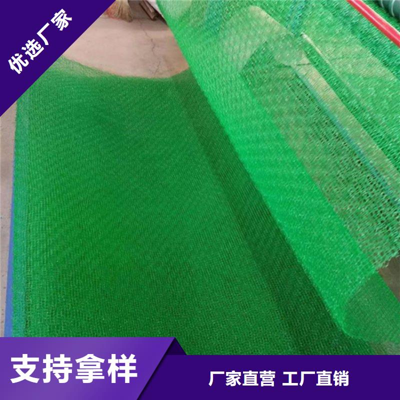 三维植被网双向塑料土工格栅订购