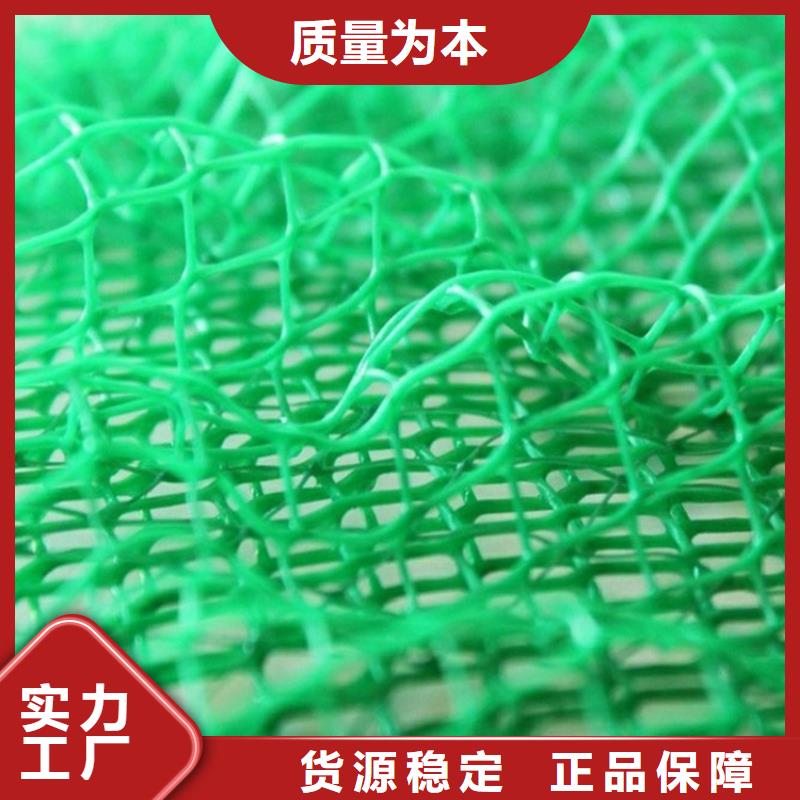 三维植被网双向塑料土工格栅价格公道合理