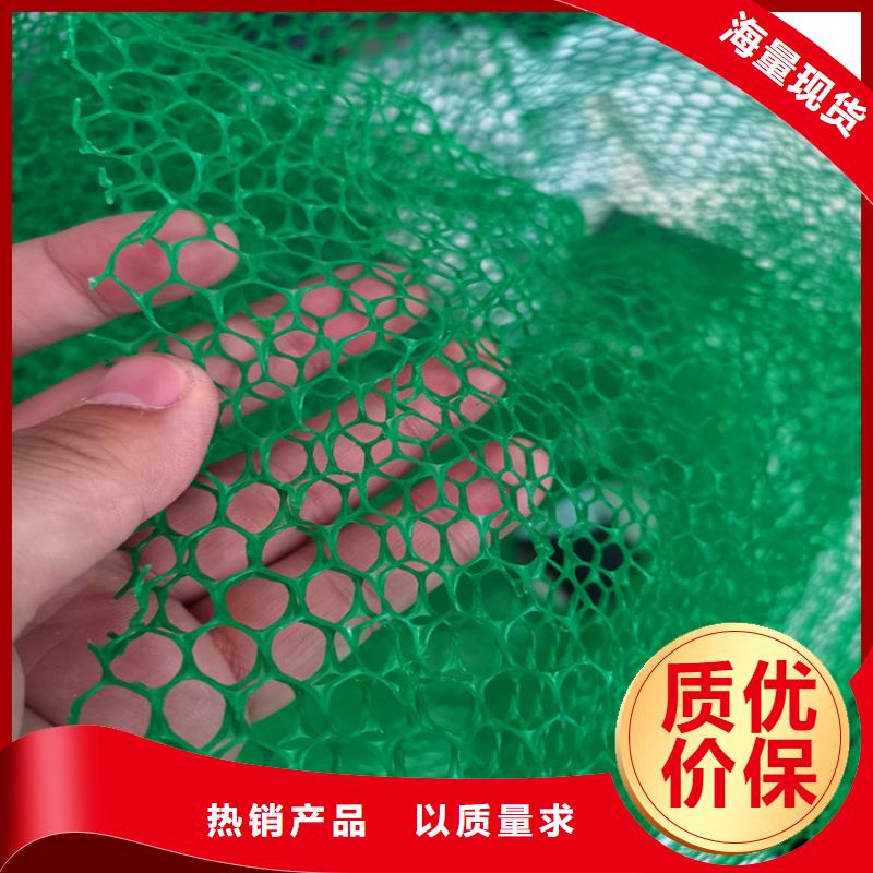 三维植被网_双向土工格栅实力商家
