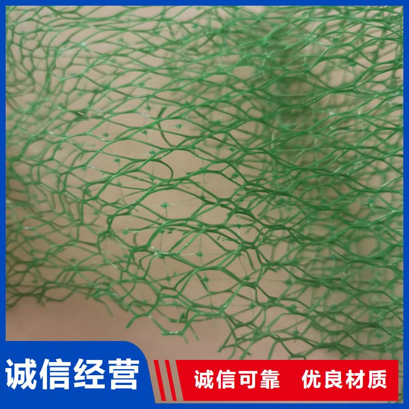 【三维植被网】软式透水管真诚合作