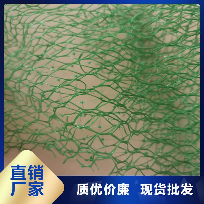 三维植被网,塑料盲沟满足客户所需