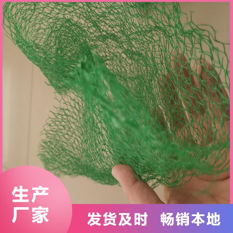 三维植被网双向土工格栅精选货源
