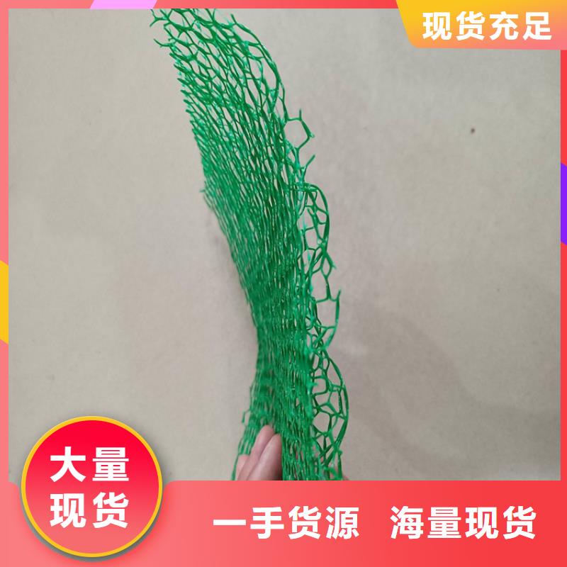 三维植被网双向塑料土工格栅价格公道合理