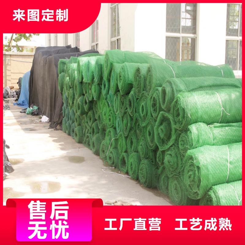 三维植被网,土工膜品牌大厂家