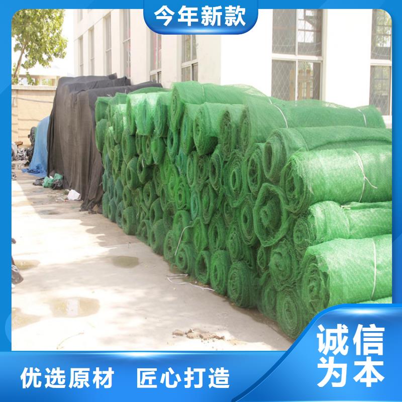 三维植被网土工格室真材实料加工定制