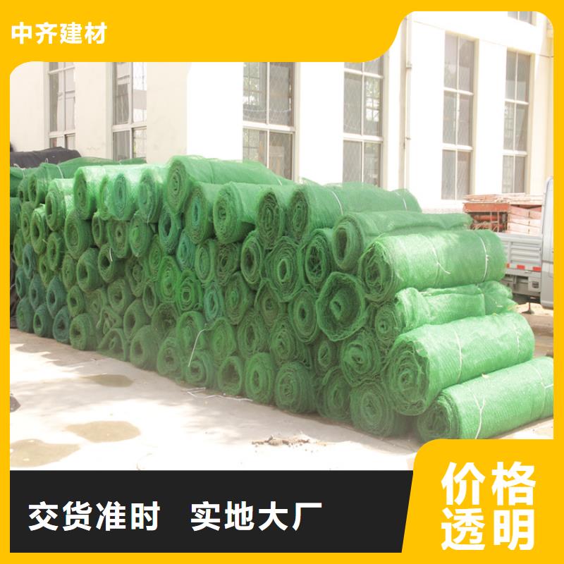 三维植被网玻璃纤维土工格栅行业优选
