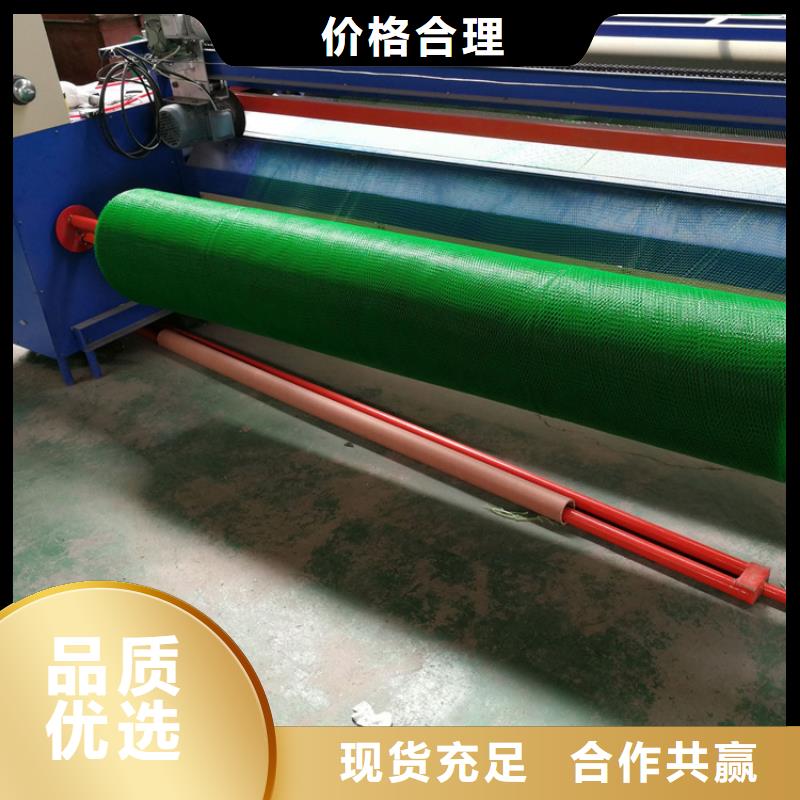 三维植被网塑料土工格栅快速报价