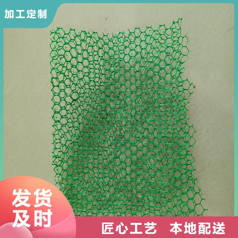 三维植被网涤纶格栅交货准时
