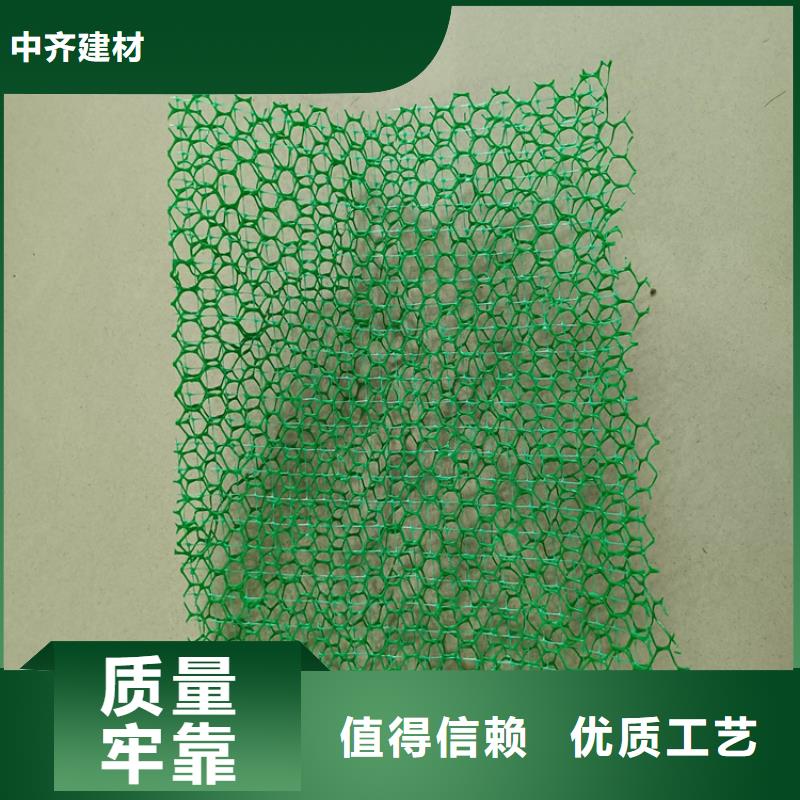 三维植被网防渗膜的简单介绍