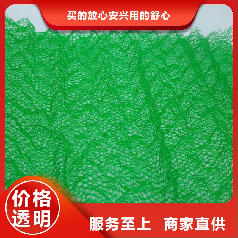 三维植被网双向塑料土工格栅价格公道合理