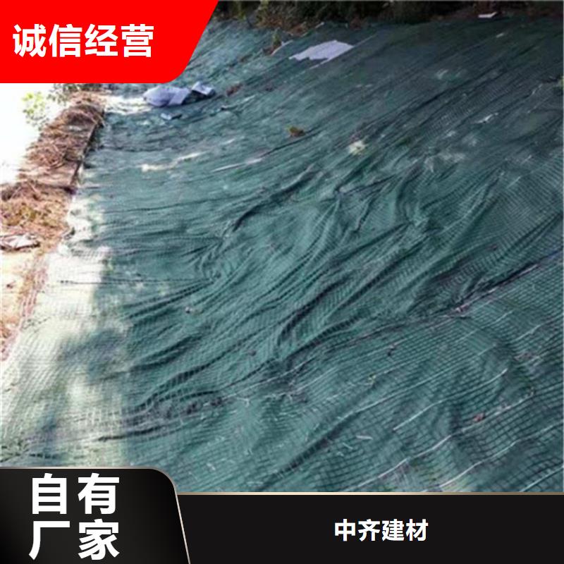 椰丝毯HDPE土工膜支持加工定制