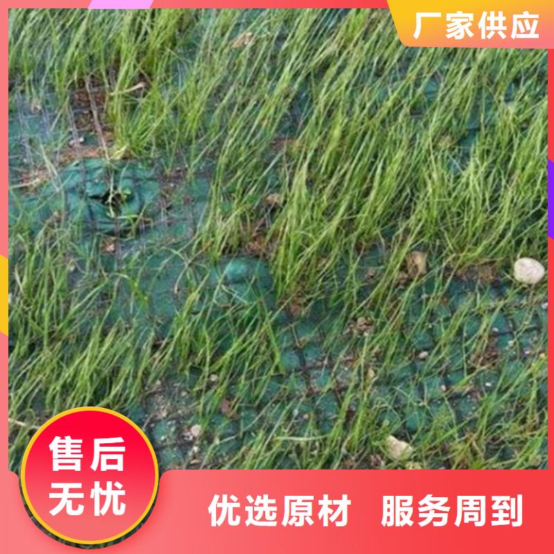 椰丝毯HDPE土工膜源头厂家量大价优