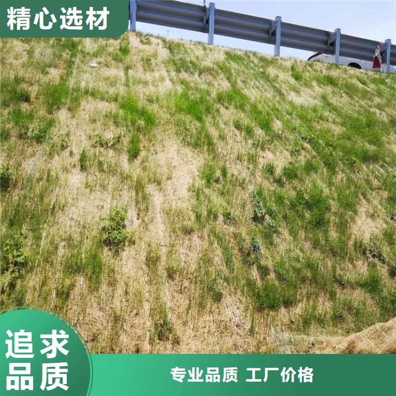 【椰丝毯土工格栅讲信誉保质量】