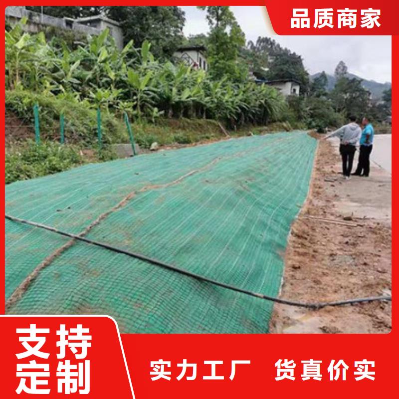 【椰丝毯土工格栅讲信誉保质量】