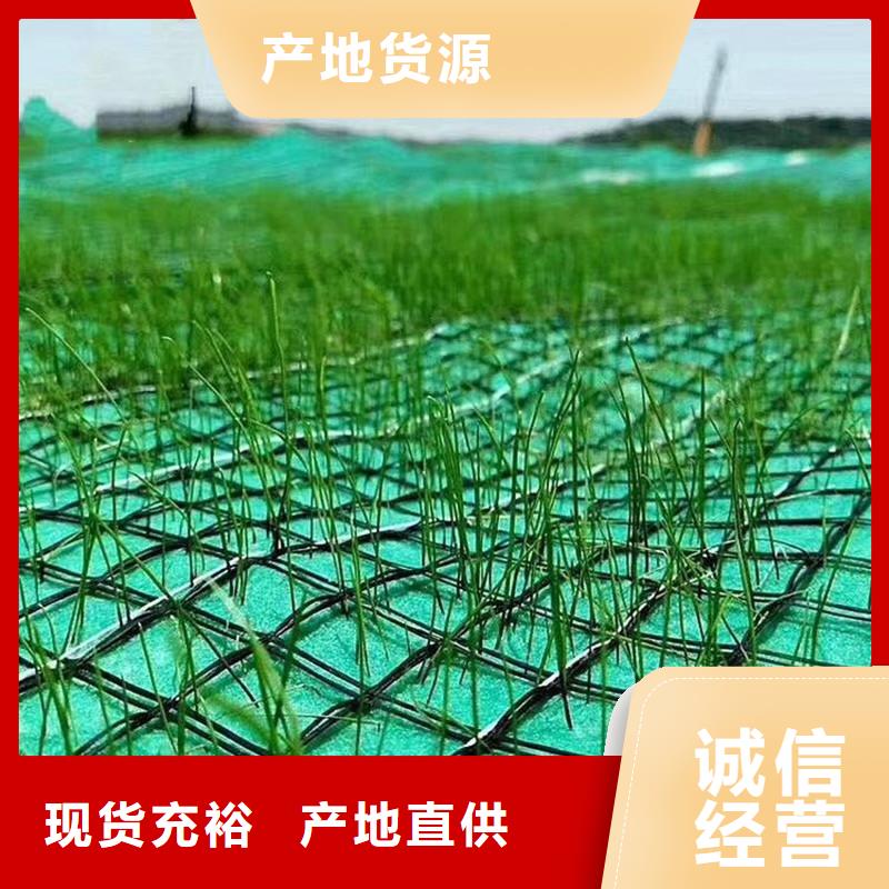 椰丝毯HDPE土工膜支持加工定制