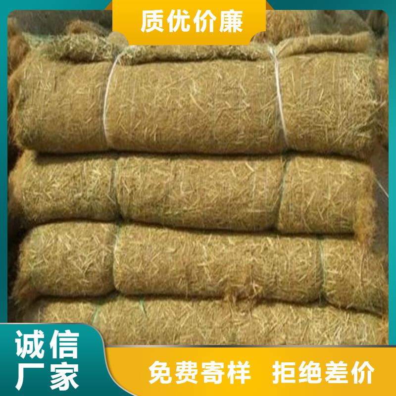 【椰丝毯】玻纤格栅诚信厂家