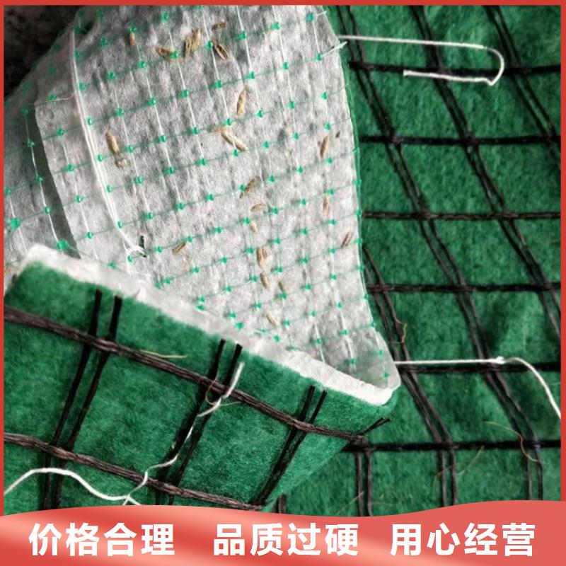 【椰丝毯】玻纤格栅诚信厂家