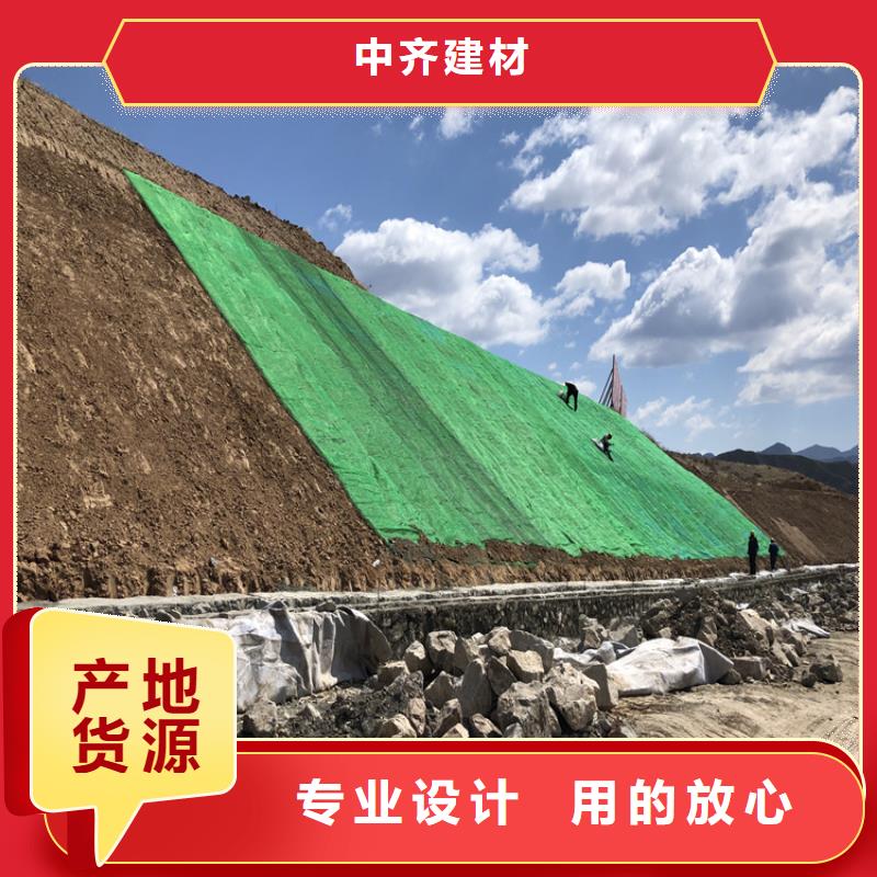 椰丝毯土工膜今日新品