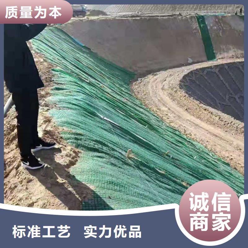 椰丝毯-土工膜厂诚信经营